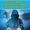 Macmillian's Prevention of Cyber Crimes and Fraud Management